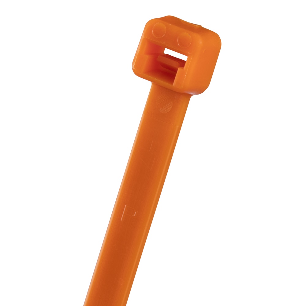 FASCETTA, 368 MM, SEZIONE TRASVERSA