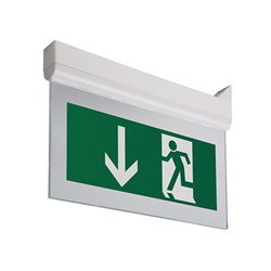 Lampada LED uscita sicurezza 9x0,25W 1 ora montaggio parete/soffitto bianco