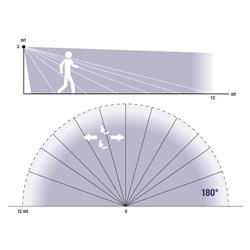 RILEV MOVIM PARETE LUCE NOTTURNA