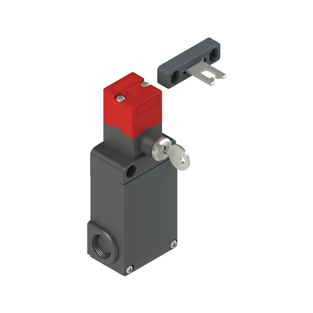 INTERRUTTORE DI SICUREZZA CON ELETT
