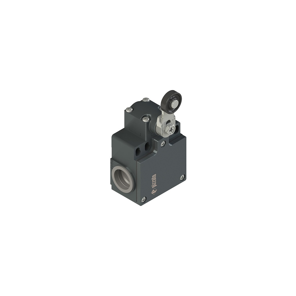 INTERRUTTORE DI POSIZIONE A LEVA GI