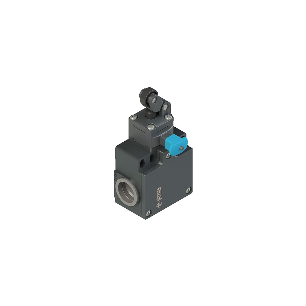 INTERRUTTORE DI POSIZIONE CON RESET