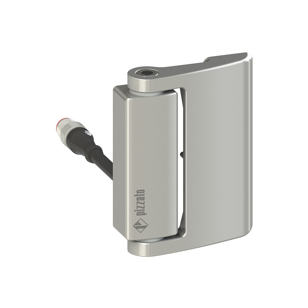 INTERRUTTORE DI SICUREZZA A CERNIER