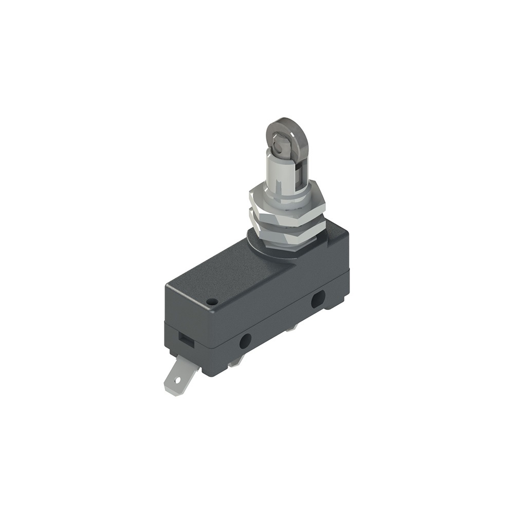 MICROINTERRUTTORE A PULSANTE FILETT