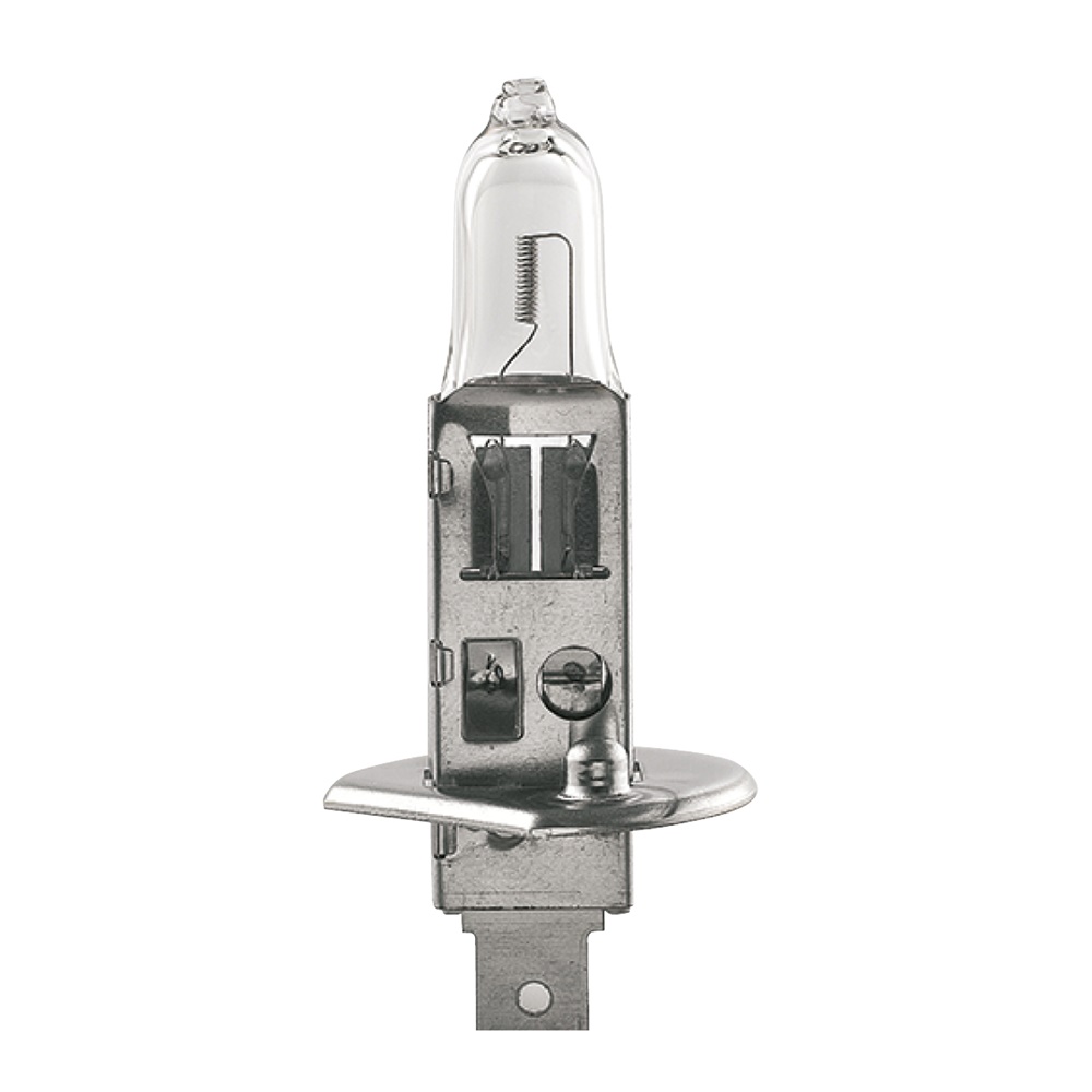 BULB H1 55W      V12    1PC