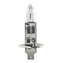 BULB H1 70W      V24    1PC