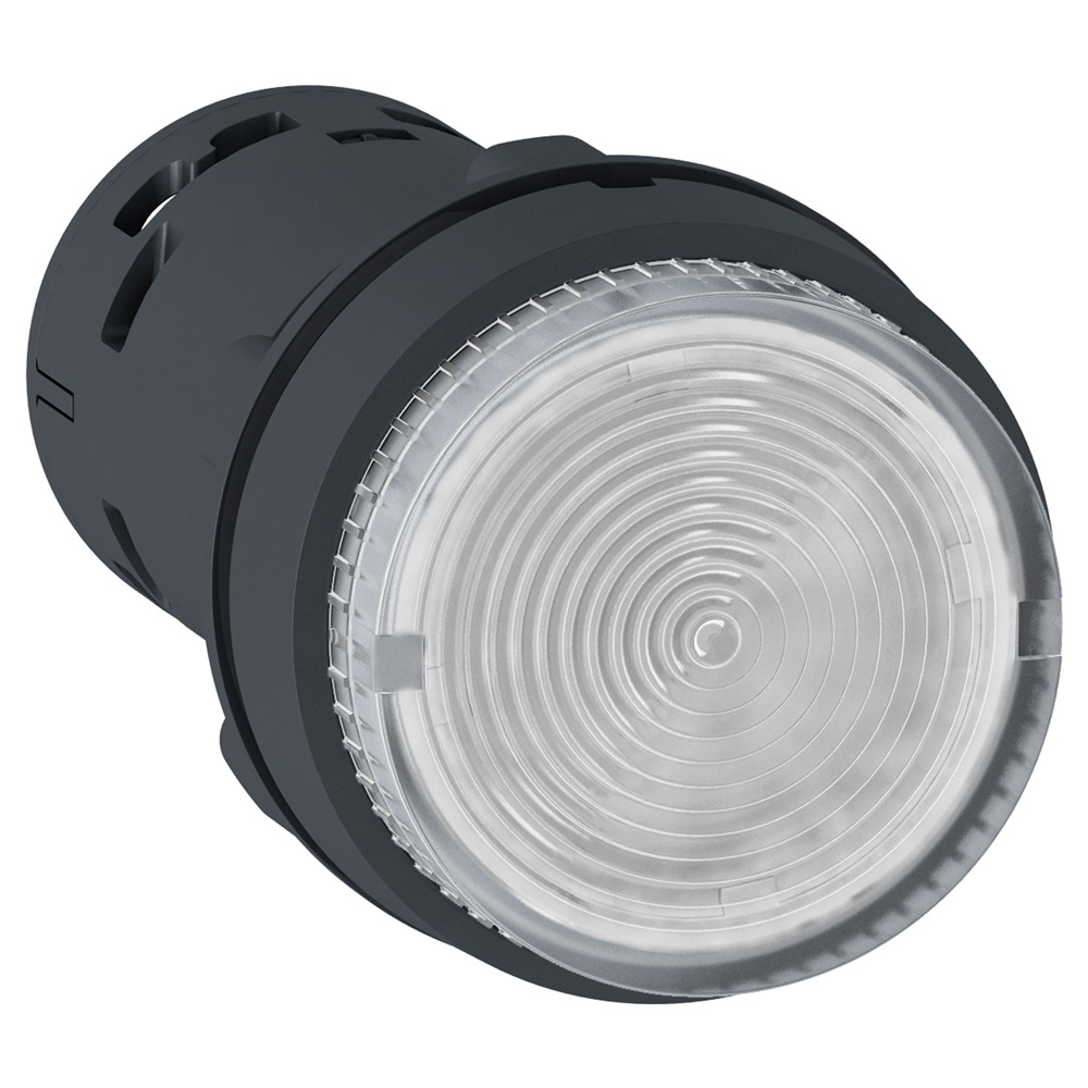 Pulsante luminoso - LED - ad impulso - 1 NO - trasparente - 24 V