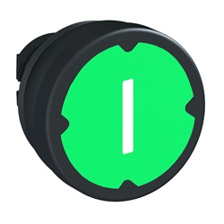 Testa pulsante - verde - con etichetta