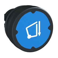 Testa pulsante - blu scuro - con etichetta