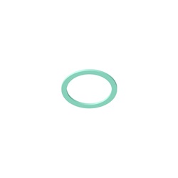 Guarnizione Fibra Gam06 11/4