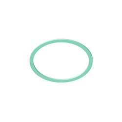 Guarnizione Fibra Gam09 21/2