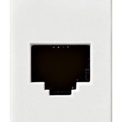 Presa RJ45 Netsafe Cat6A UTP bianco