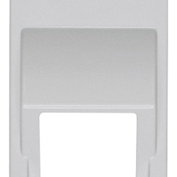 Adattatore RJ45 inclinato Silver