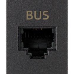 Presa RJ11 speciale morsetti a vite per BUS colore grigio