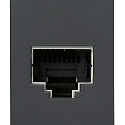 Presa RJ45 Netsafe Cat5e FTP 110 grigio