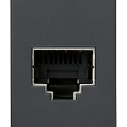 Presa RJ45 Netsafe Cat5e FTP 110 grigio