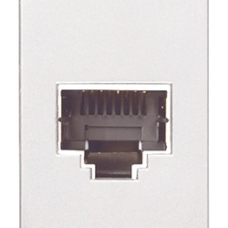 Presa RJ45 Netsafe Cat5e FTP 110 bianco