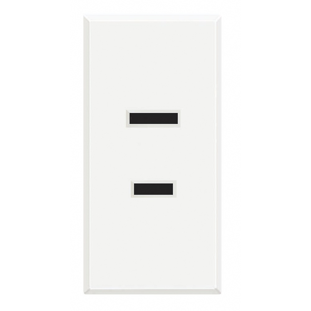 Presa elettrica bipolare 2P 15A 127/250V standard americano bianco per uso residenziale e professionale